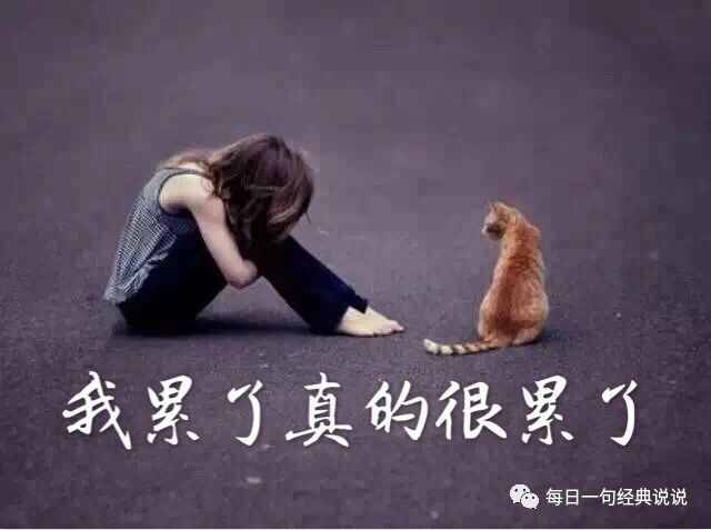 读起来最痛的话语jpg,300x190,128kb,394_250心酸文字jpg,510x382,13