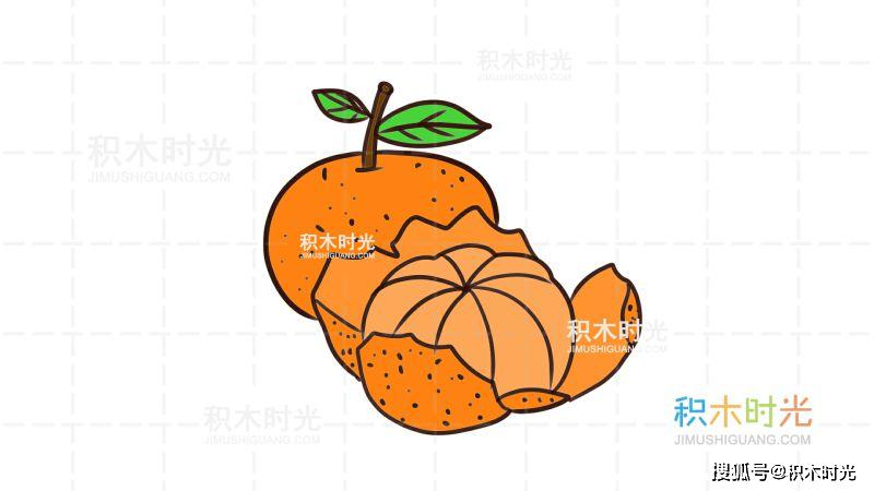 橘子的生长过程简笔画图片