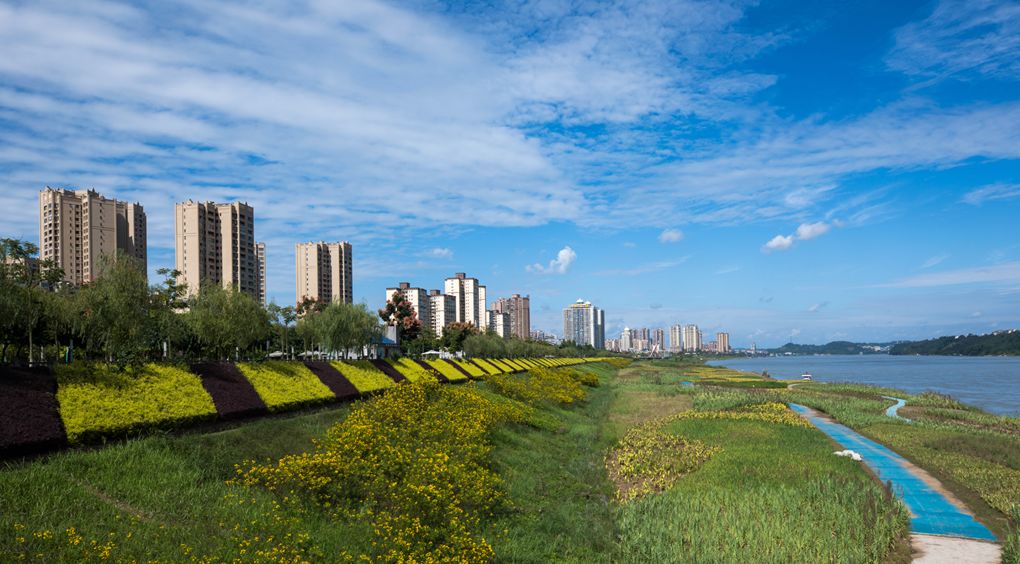 宜宾又多了1个"国字号"头衔!