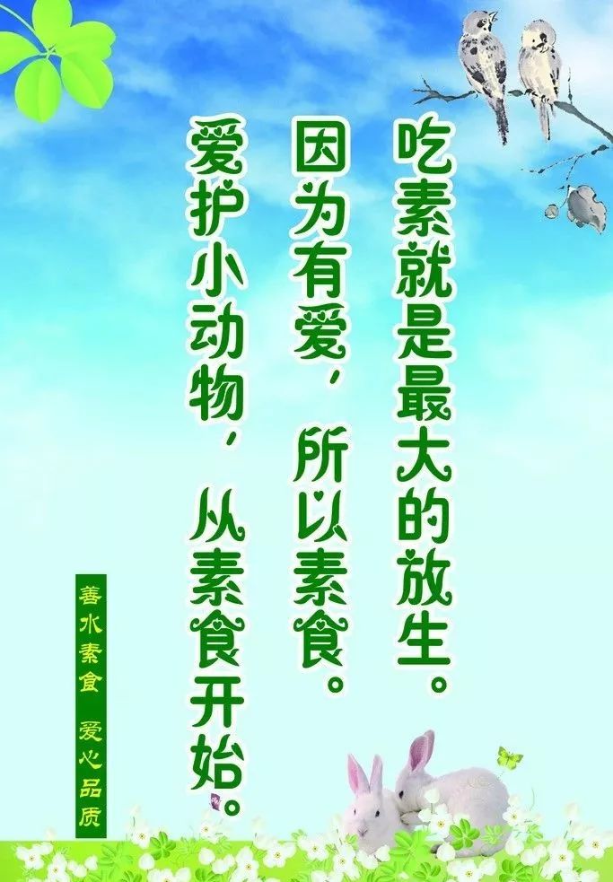 我们为什么要过一个纯素的新年看完聂云台曾国藩的外孙的劝过年吃素文