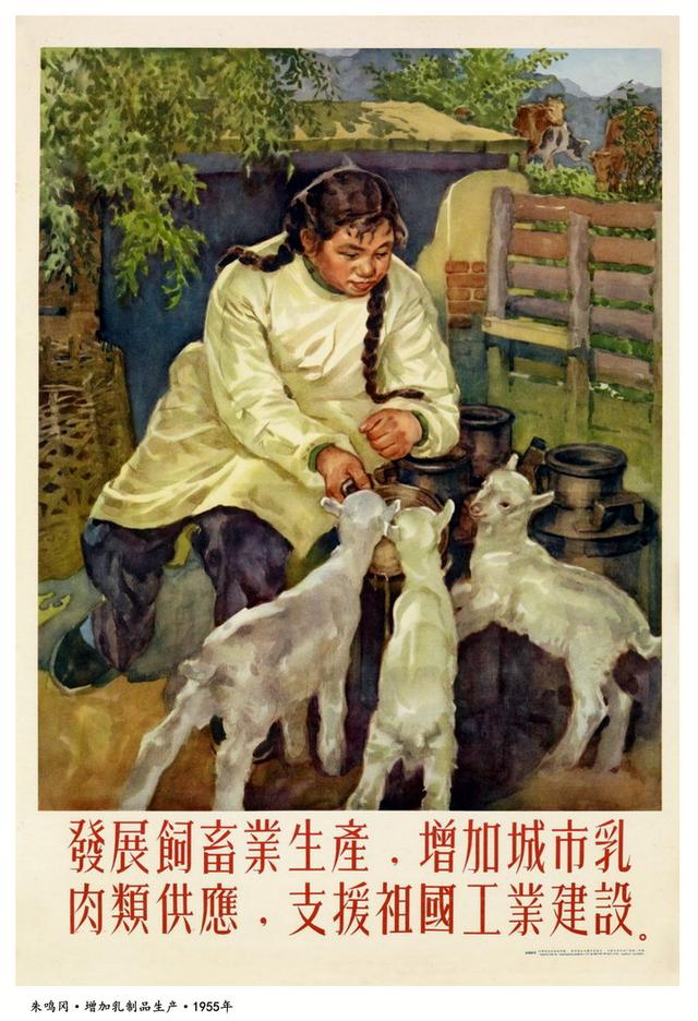 发展饲畜业生产,增加城市乳肉类供应-朱鸣冈-1955发展山区的牧畜业