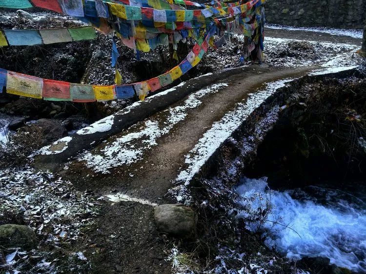 鱼通官寨,鼠年祥瑞_康定