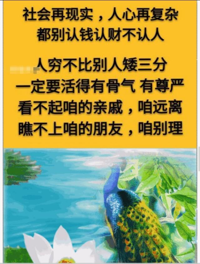 人心隔肚皮图片经典图片