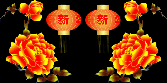 550_276gif 动态图 动图