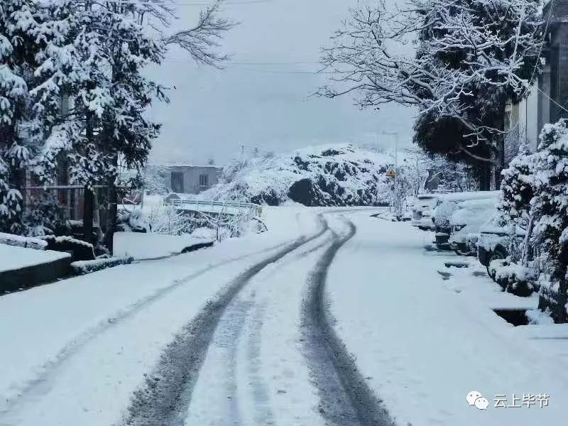 下雪了畢節各地普降大雪建議市民少出門