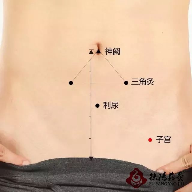 男女老少的守护神新的一年学点艾灸知识全家更健康