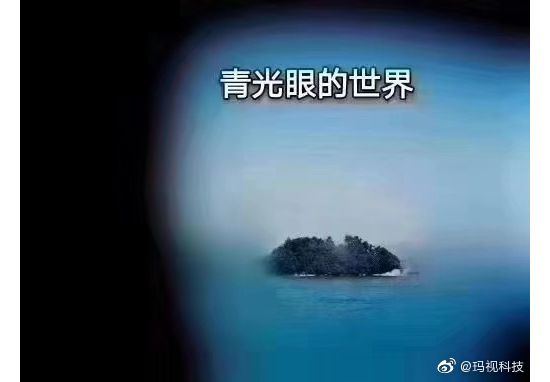 各种眼睛里的世界@我都笑傻了平时看不太出来只是它们太害羞了胖子