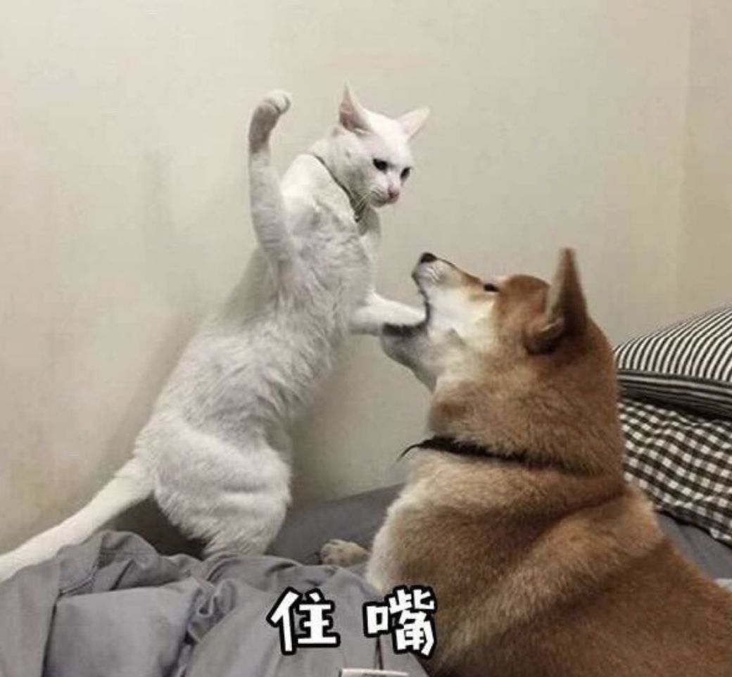 进来收图论表情包我还从来没输过