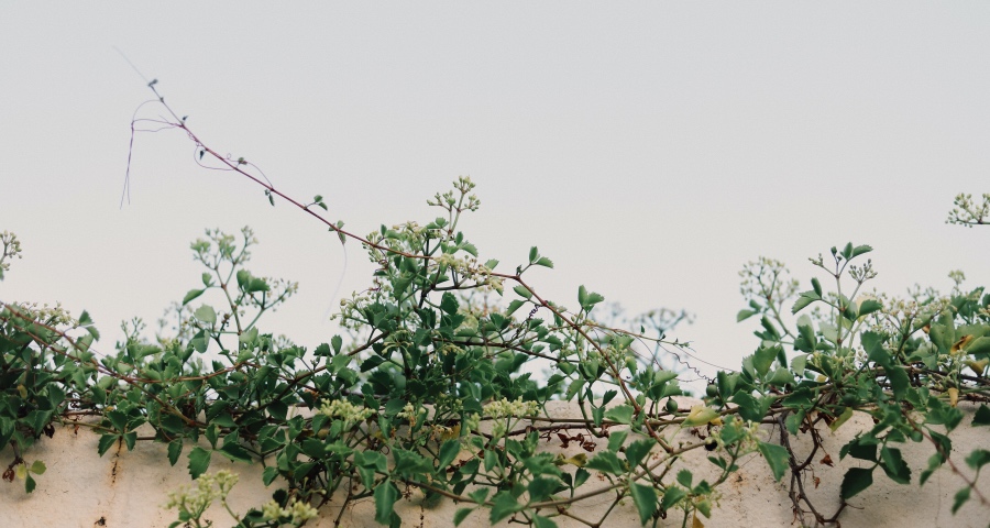 中国家电产业越是艰险越向前进!-家电圈官网