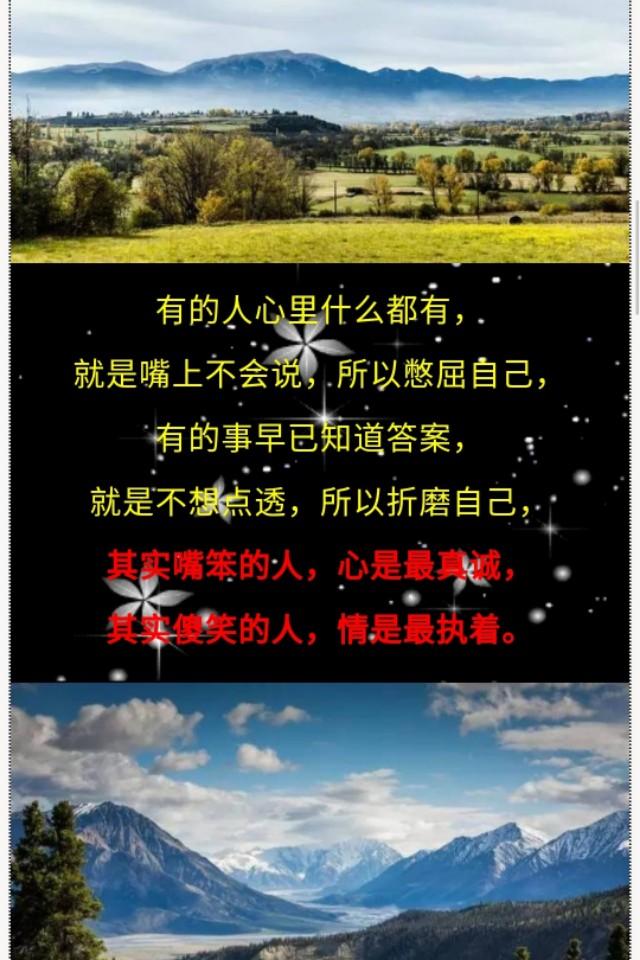 痛,不过感情;伤,不过心灵;一颗心要伤多少次,才会选择放弃?