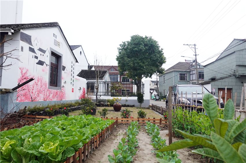 慈溪坎墩暗藏一處花園村莊一年四季美如畫