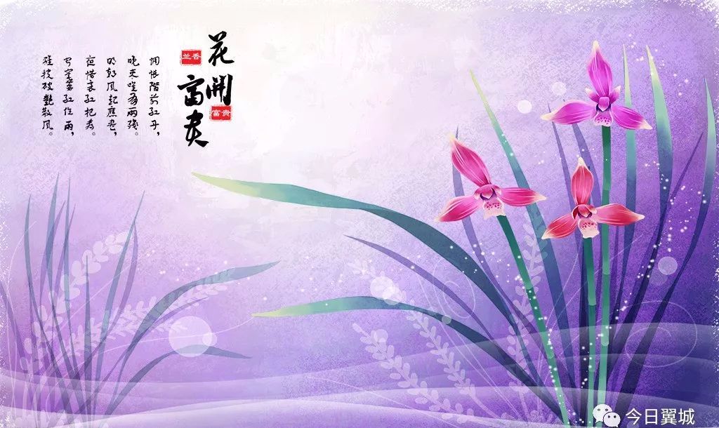大寒二候—征鸟厉疾_兰花