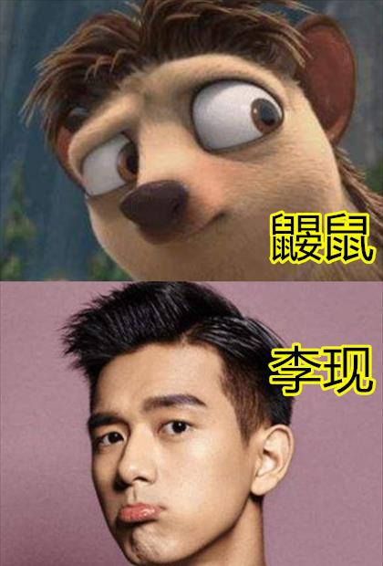 男神撞脸动物是种什么体验?刘端端羊驼,看到李现:本色出演过吗