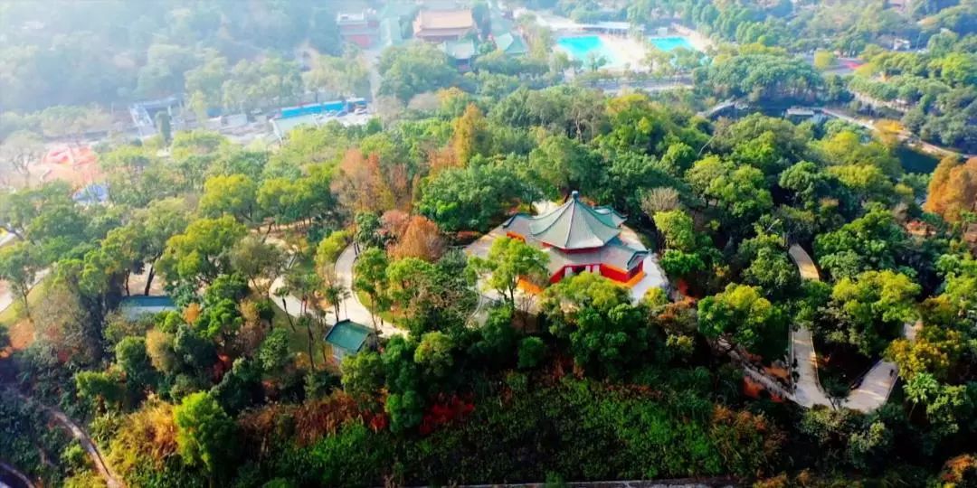 新会区还将继续打造历史文化特色的慢生活休闲文化圈,而北园公园,马山