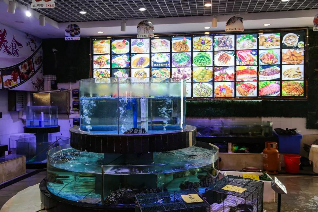 劲爆推介▎市区旁の御香园大酒楼终被曝光①蚊①碗鲍鱼鸡粥撼动全城