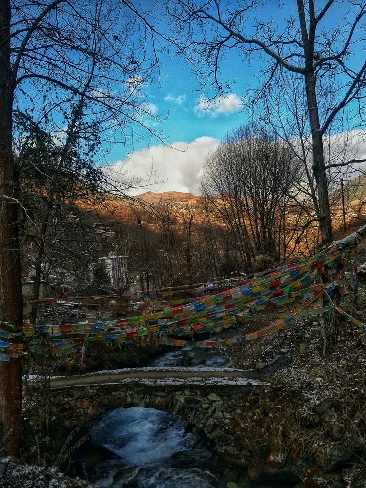 鱼通官寨,鼠年祥瑞_康定