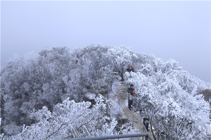 瑞雪兆丰年广东出现新年第一场冰挂雪山金子山千树万树梨花开