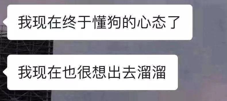 因为不能出门湖北人在家都被憋疯了