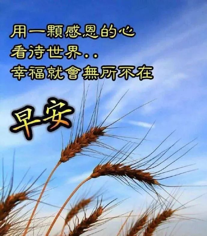 早安快樂!親愛的.返回搜狐,查看更多