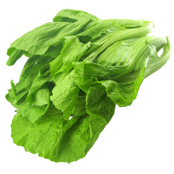 原创女性养生,适合常吃四种食物,清热排毒,刮油消脂,甩掉多余脂肪