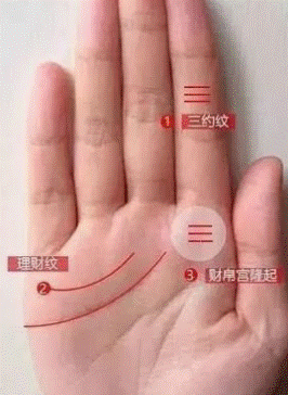 手相解析这几种特征都是招财的表现