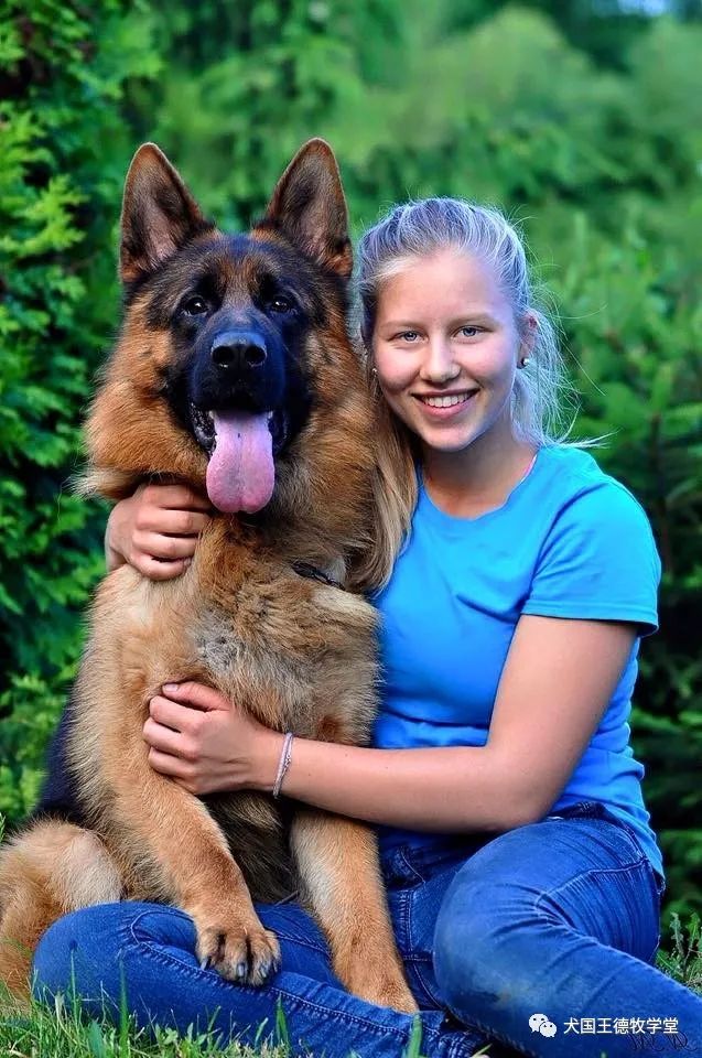 犬国王本人微信号:demu2005快手/抖音:xiaode2005返回搜狐,查看更多