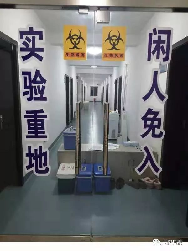 新型冠状肺炎病毒如何检测记者带您走近市疾控中心微生物实验室一探