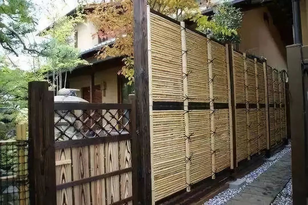 竹子生长迅速,选用枝杆挺拔竹身光滑的竹子制作花园的篱笆围墙或者