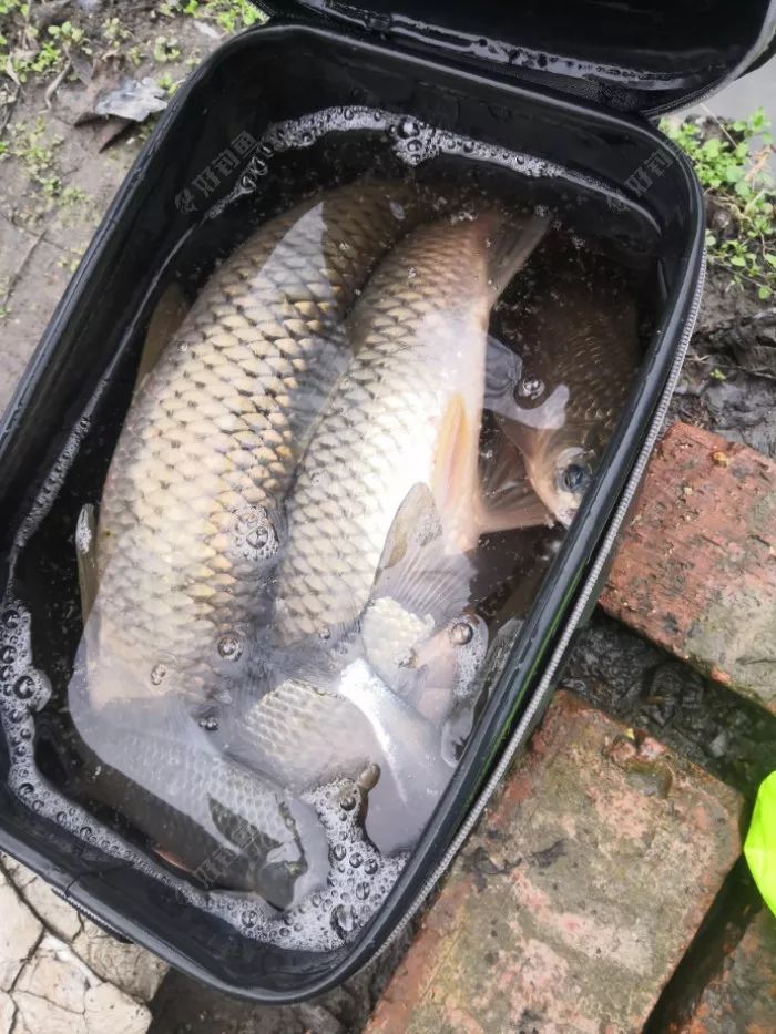 打破传统勇于创新渔获还不错