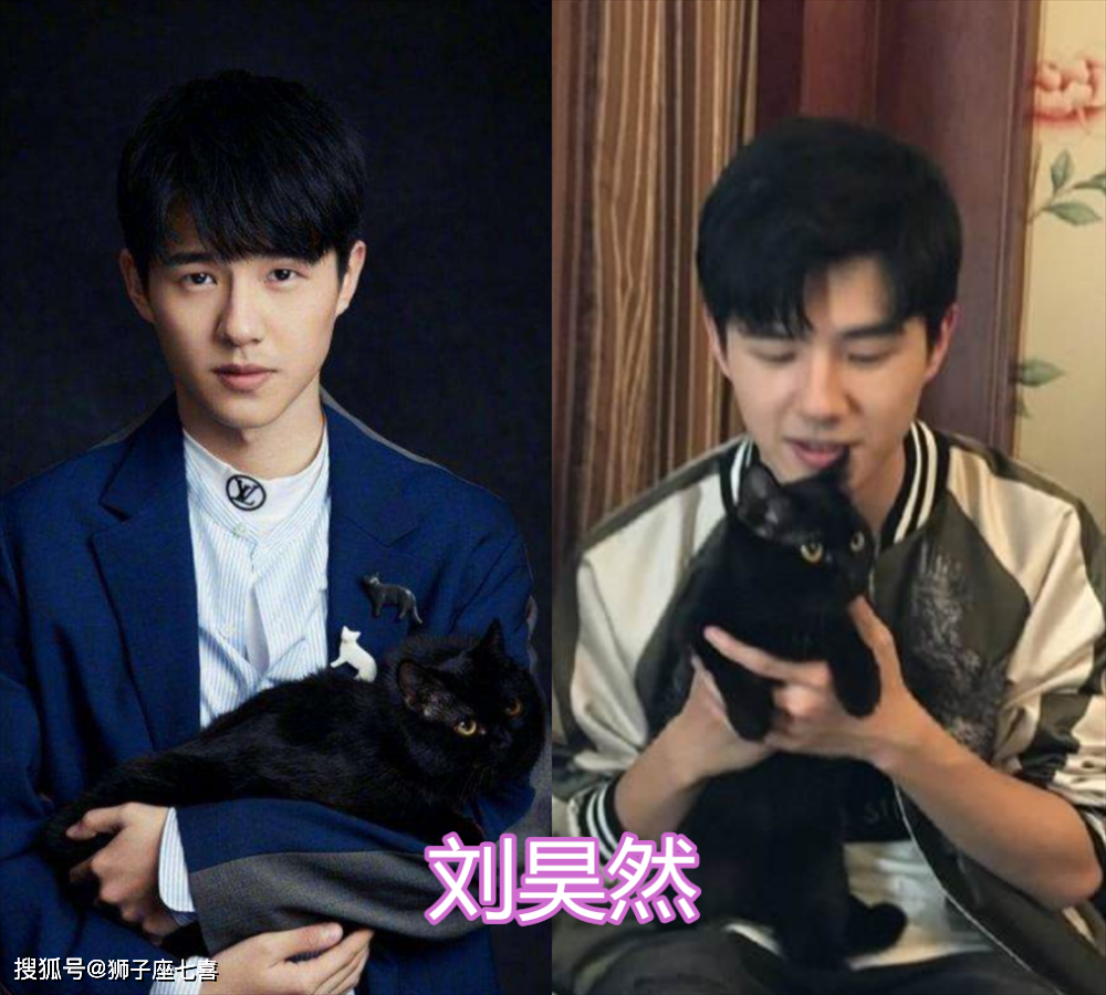 王一博婴儿抱,千玺女友抱,刘昊然:你的猫呢?
