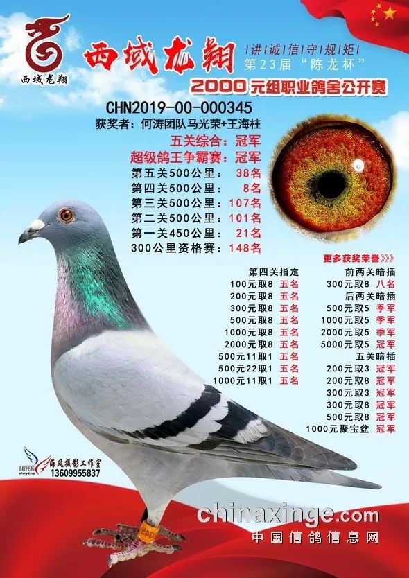 观千剑后识器2019年职业联赛多关鸽王冠军