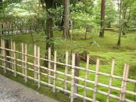 竹篱笆造出禅意范儿
