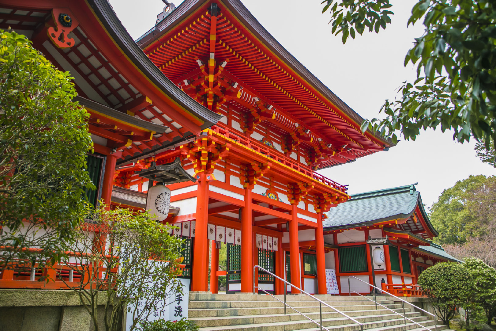 你都去过哪些国家哪里给你的旅游体验最好