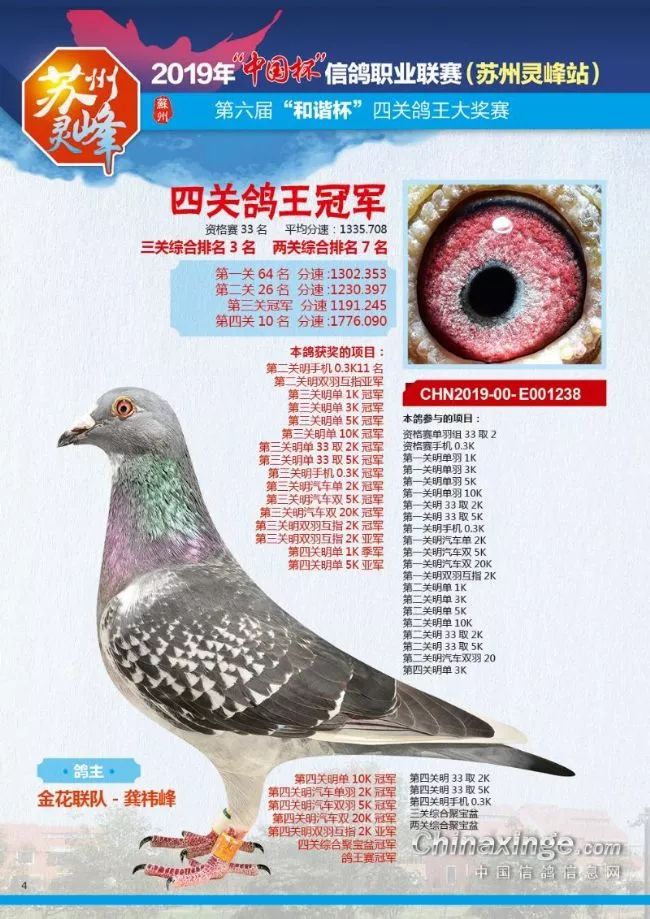 观千剑后识器2019年职业联赛多关鸽王冠军