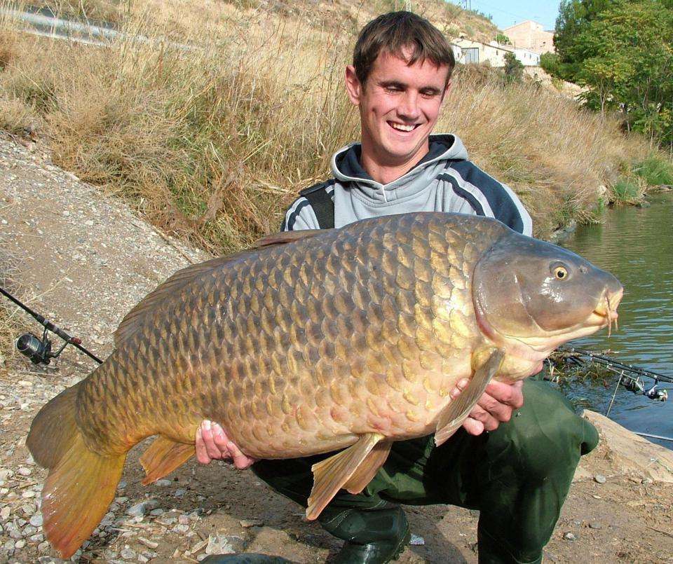 原创美国过去引进中国鲤鱼治理环境现在泛滥成灾又想到了中国大市场