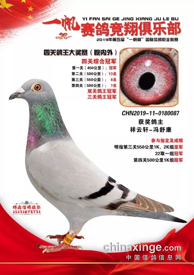 观千剑后识器2019年职业联赛多关鸽王冠军