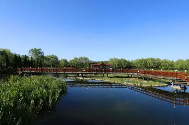 其中中心湖區為主景區,取名七彩春花園,建有花王臺,海棠廣場,亭廊組合