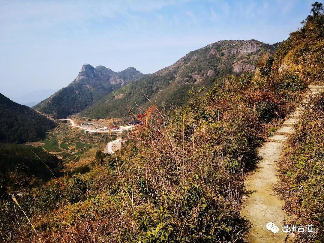 永嘉烏牛西岙東樟嶺古道西葉行禪楊家山環線穿越風景如畫