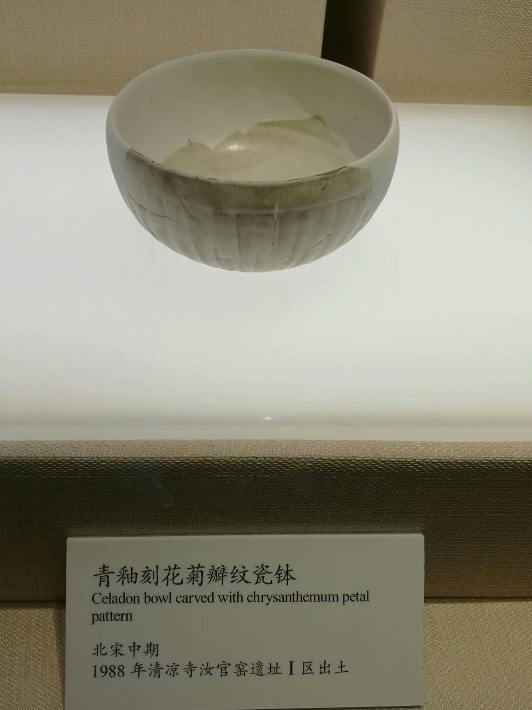 通過以上藏品可見,寶豐汝窯博物館展出的古瓷品種多樣,有磁州窯系瓷器