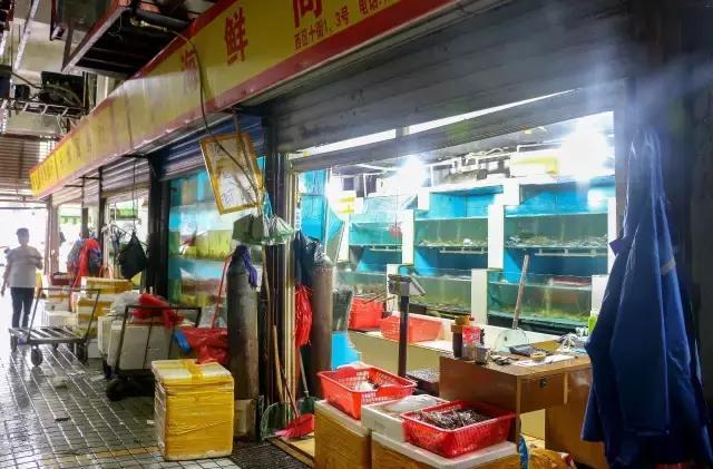 华南海鲜市场野味图片图片