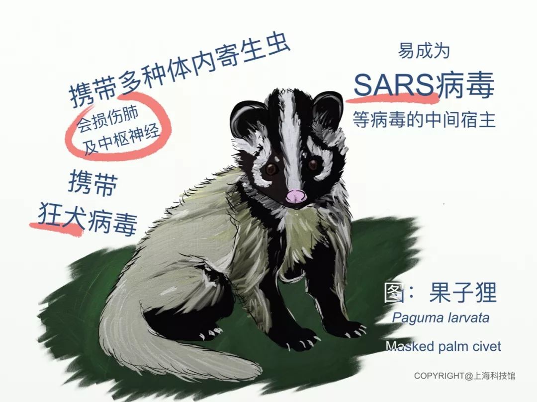 过的人畜共患病病毒a型流型性感冒 bird flulábrea热sars立百病毒