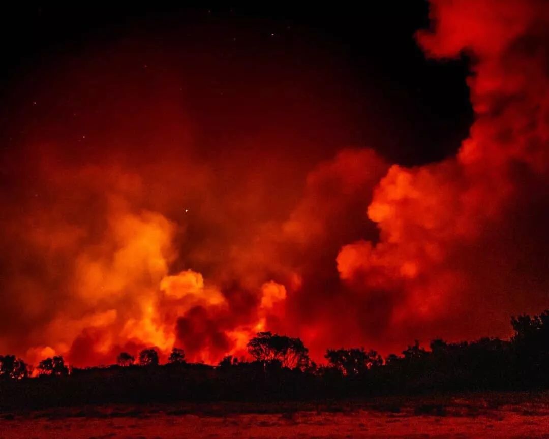 澳大利亚的血色天空大火燃烧之后的原始森林受伤的考拉受伤的袋鼠最后