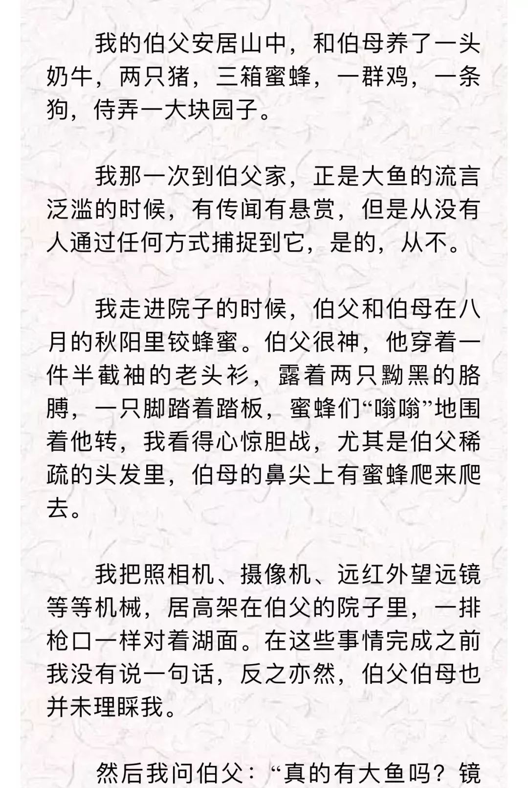 致敬经典 ‖ 安石榴:大 鱼