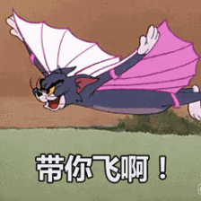 224_224gif 动态图 动图
