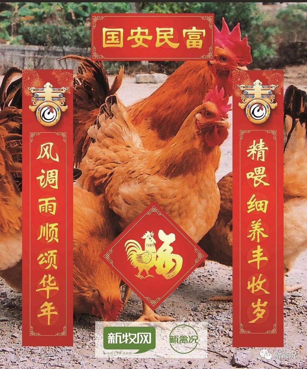 抱金鸡财源滚滚