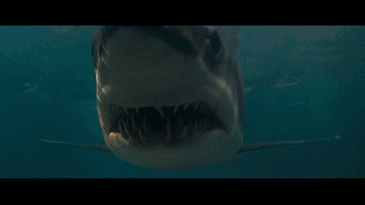 大白鲨图片gif图片