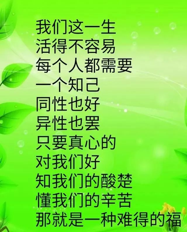 一个真诚的知己,这辈子不枉来过!