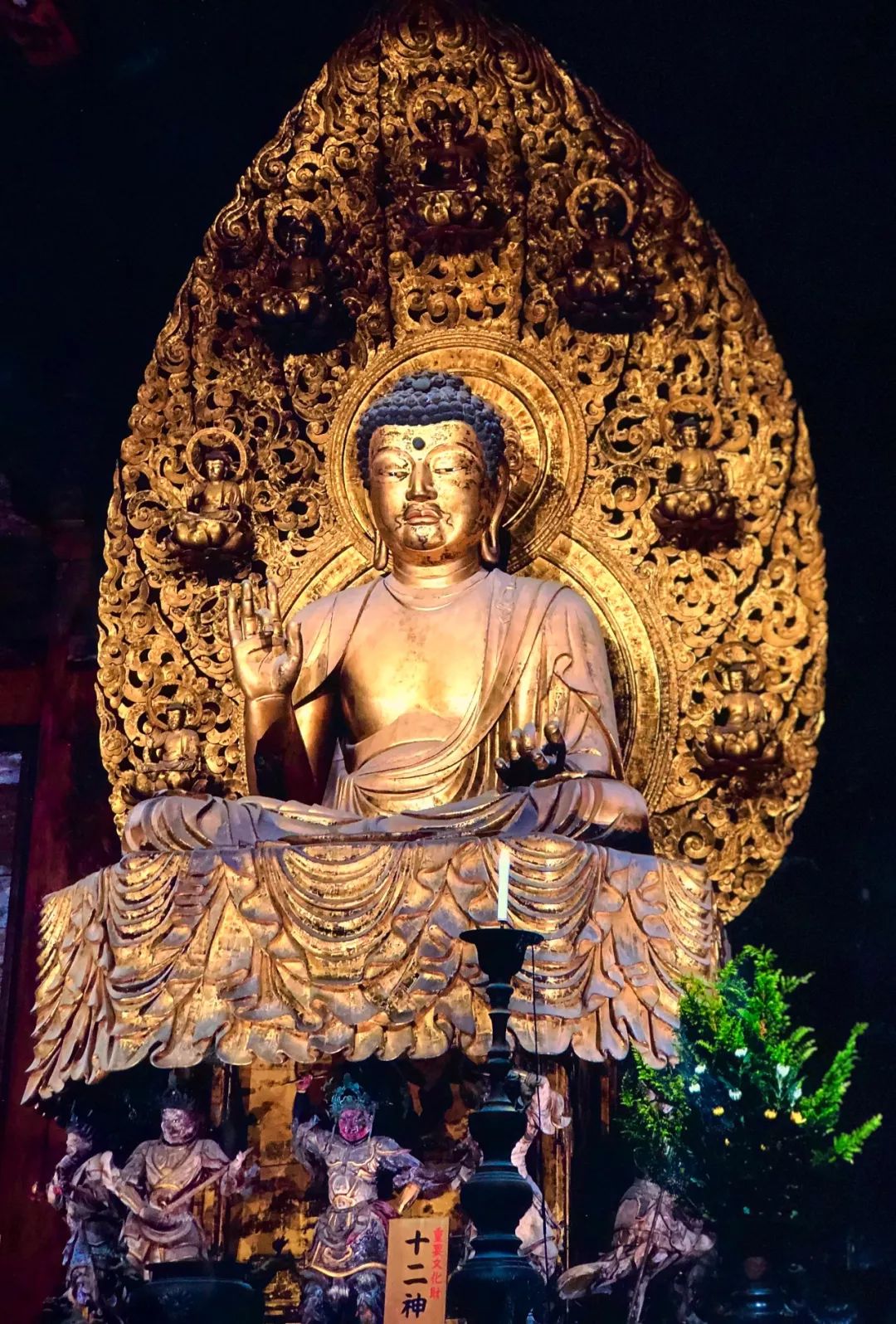 新年祈福药师佛十二药叉大将