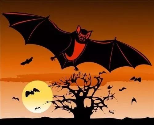 你让我上餐桌我请你下地狱