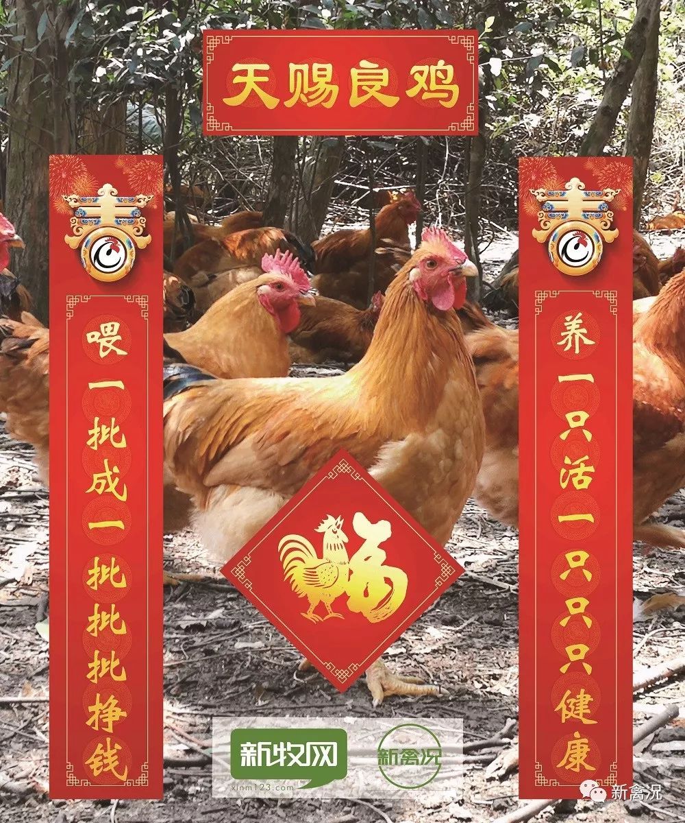 过年春联贴什么奉上精选对联送你满满福气